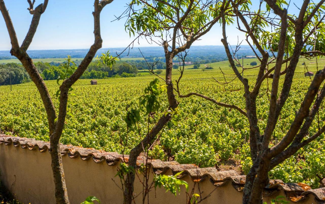 Domaine Des Marrans Fleurie Exterior foto